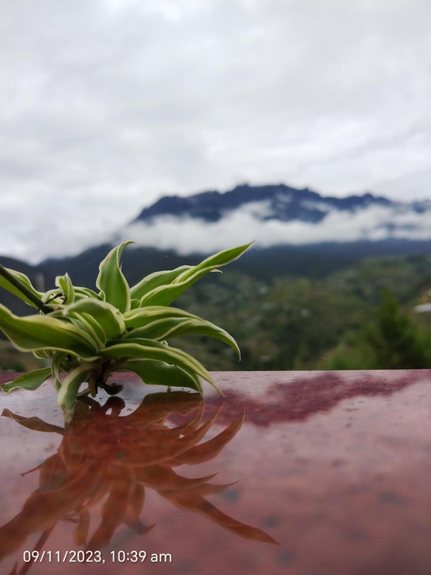 Highland Homestay Kundasang Ranau Exterior foto